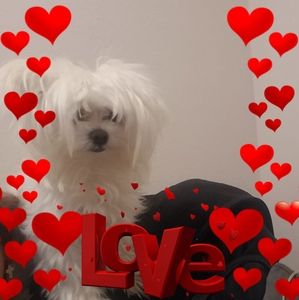 Meet your Posher, Thelma